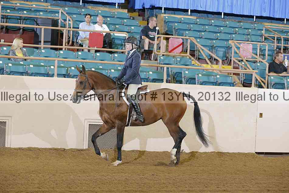Proof Number 13yn_20132