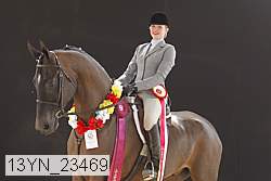 13yn_23469 thumbnail