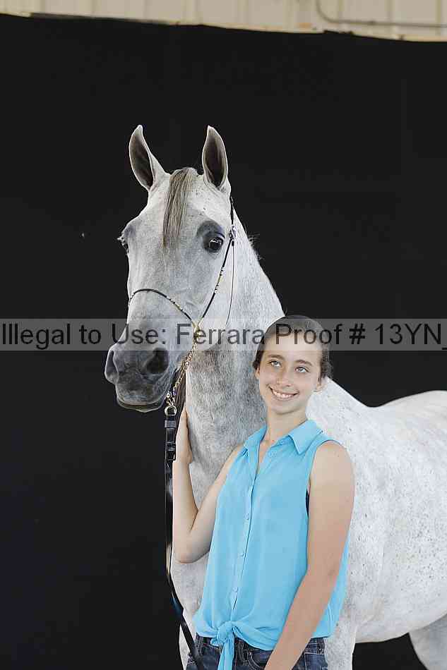 Proof Number 13yn_21208