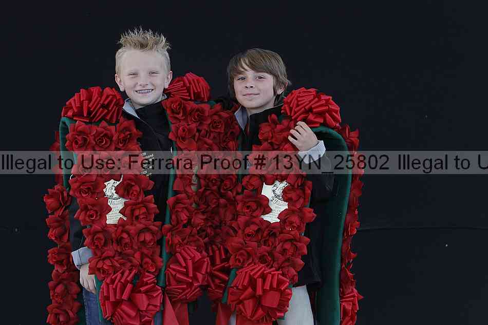 Proof Number 13yn_25802