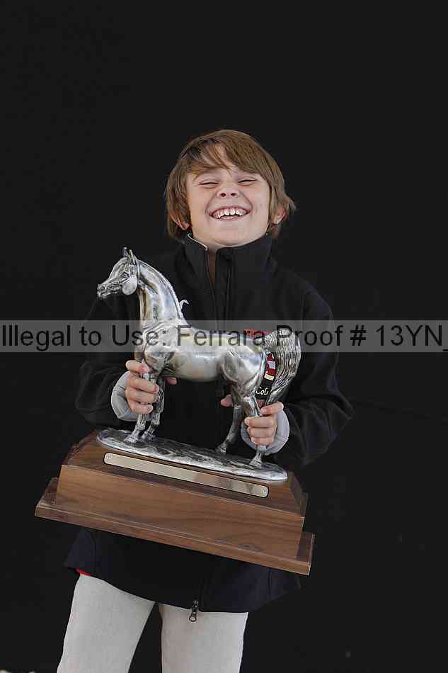 Proof Number 13yn_25823