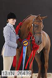 13yn_26439 thumbnail