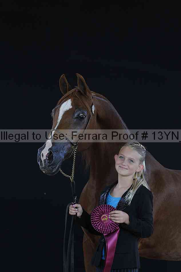 Proof Number 13yn_24657