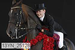 13yn_25128 thumbnail