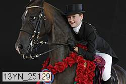 13yn_25129 thumbnail