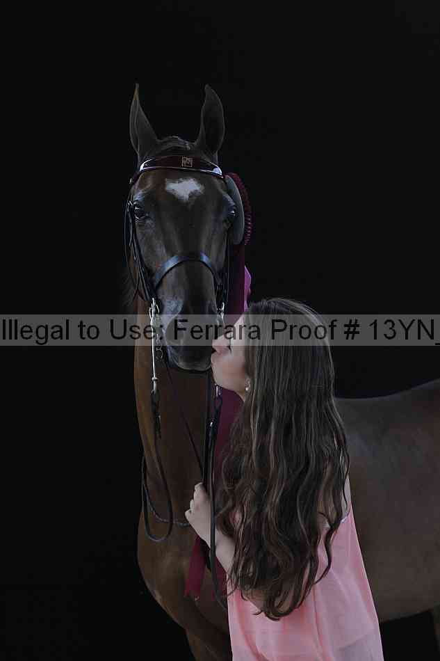 Proof Number 13yn_28312