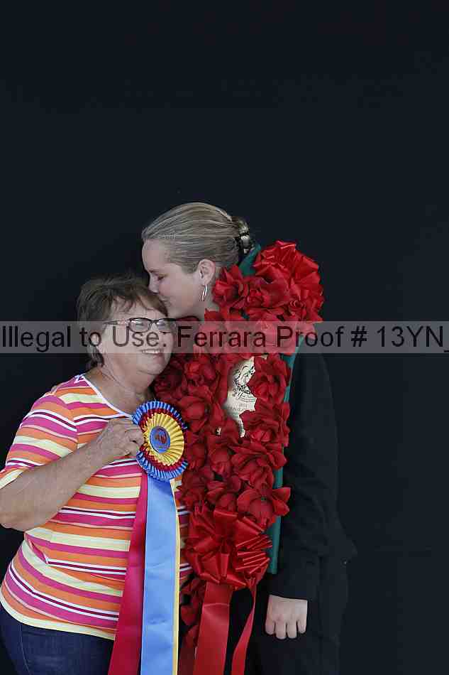 Proof Number 13yn_01806