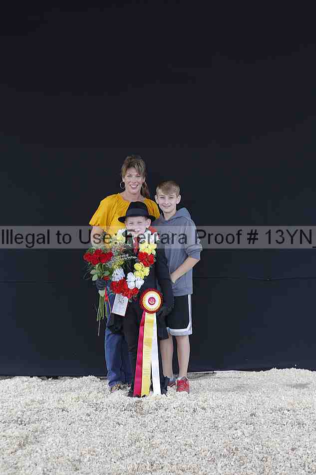 Proof Number 13yn_02525