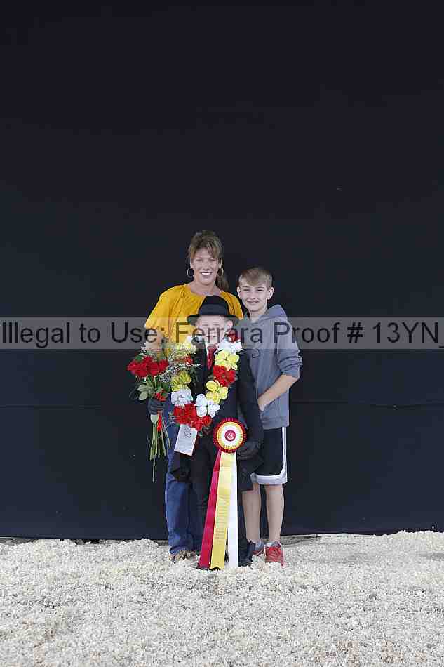 Proof Number 13yn_02526