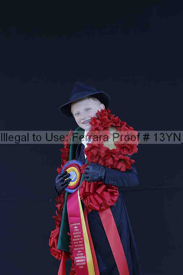 Proof Number 13yn_02532