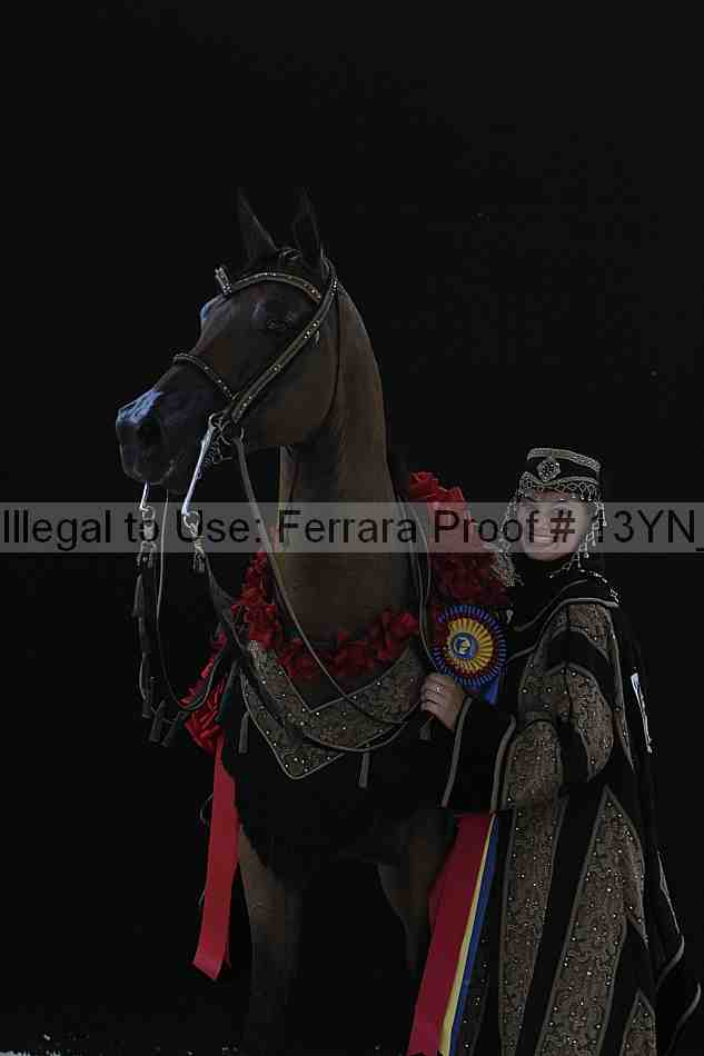 Proof Number 13yn_05351