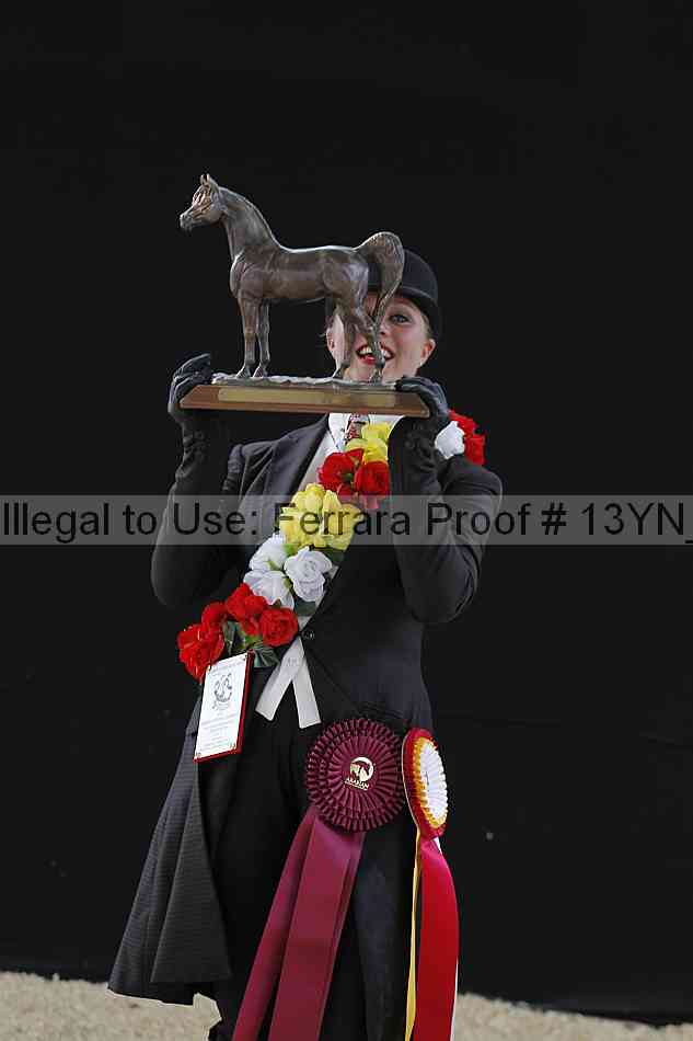 Proof Number 13yn_14789