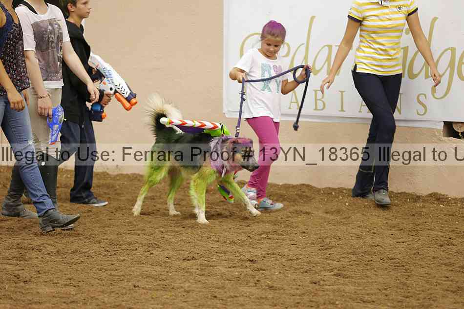 Proof Number 13yn_18365