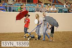 13yn_18369 thumbnail
