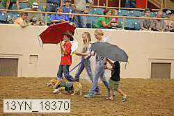 13yn_18370 thumbnail