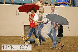 13yn_18371 thumbnail