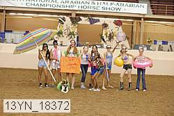 13yn_18372 thumbnail