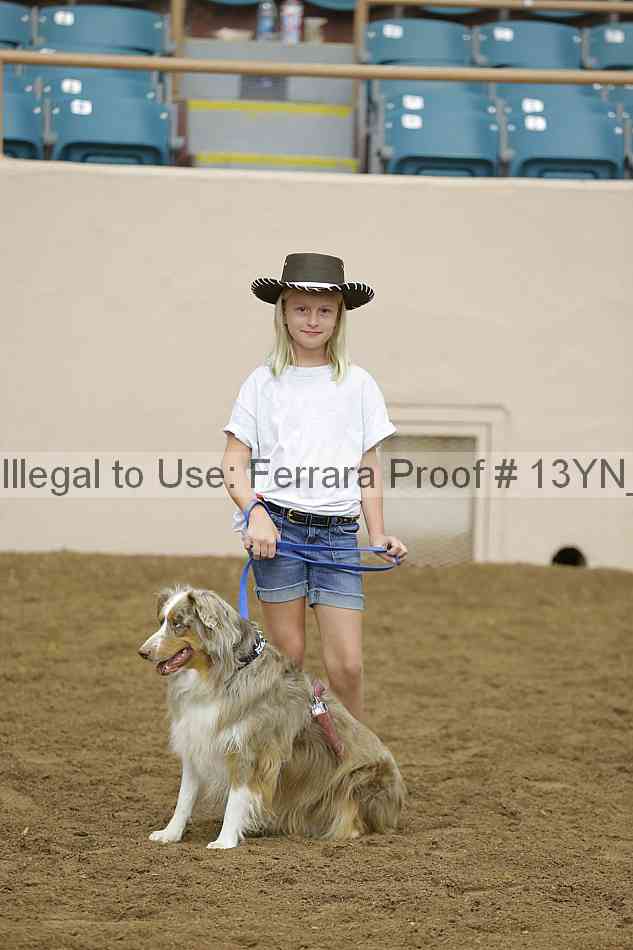 Proof Number 13yn_18376
