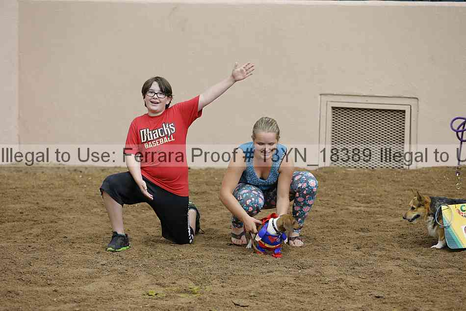Proof Number 13yn_18389