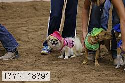 13yn_18391 thumbnail