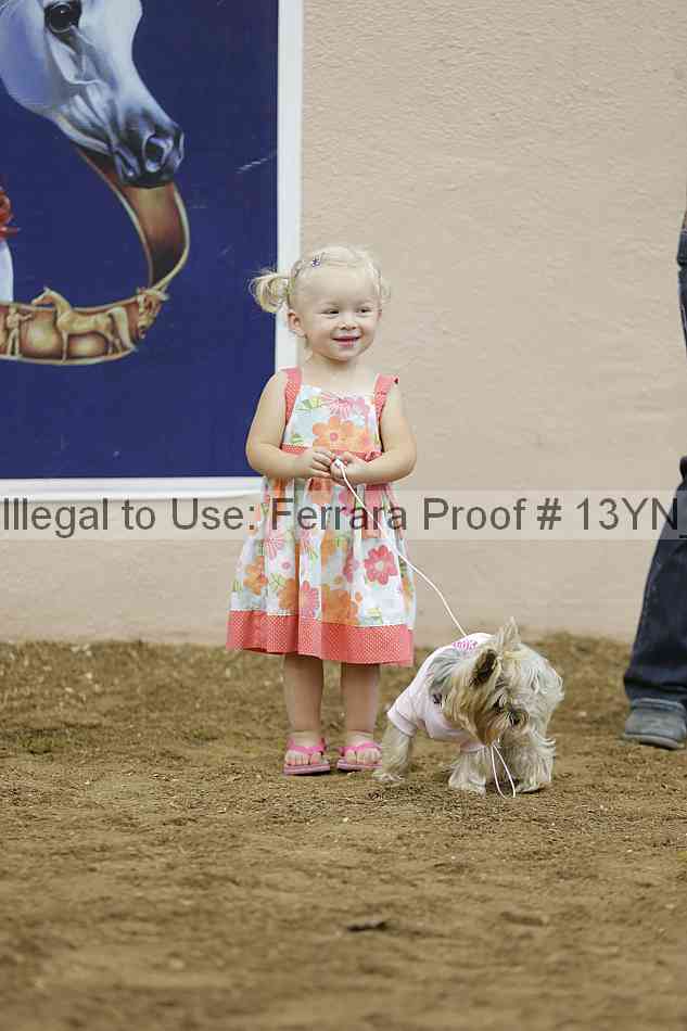 Proof Number 13yn_18408