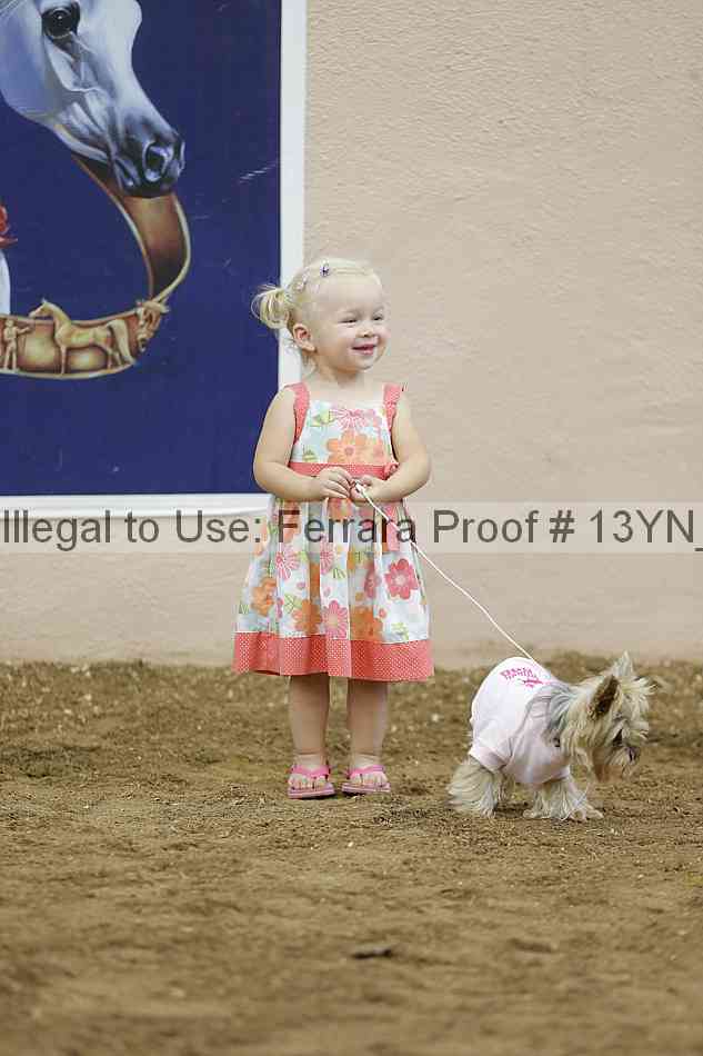 Proof Number 13yn_18409