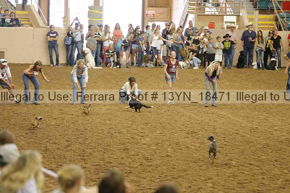 Proof Number 13yn_18471