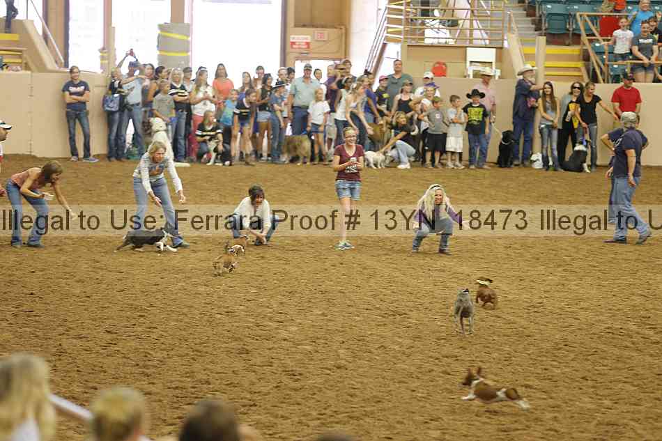 Proof Number 13yn_18473