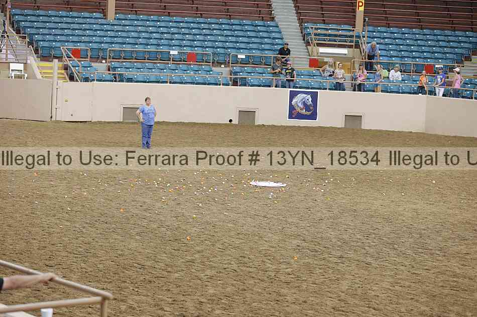 Proof Number 13yn_18534