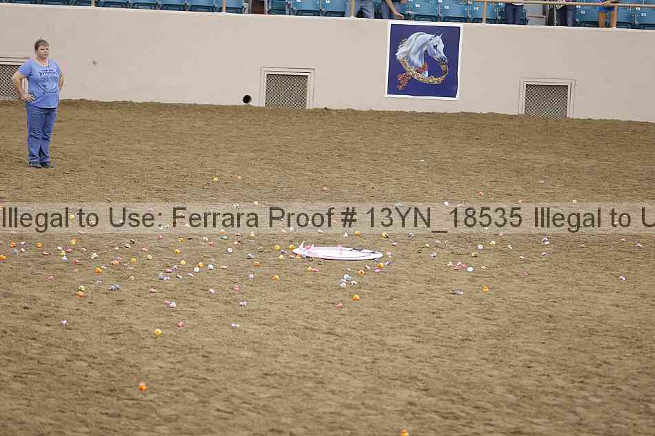 Proof Number 13yn_18535