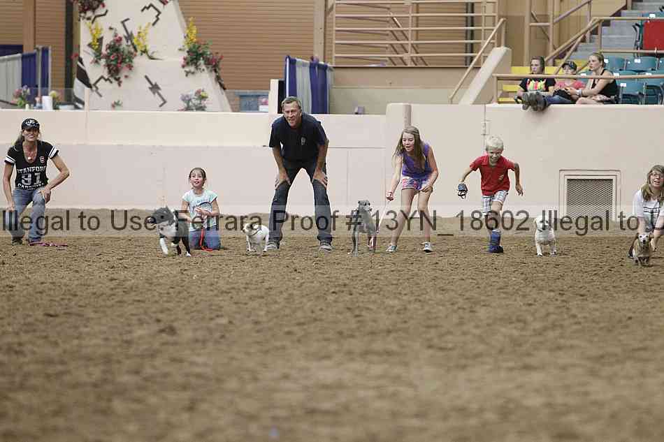Proof Number 13yn_18602