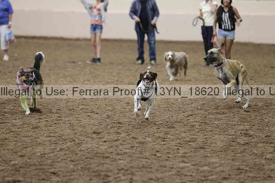 Proof Number 13yn_18620