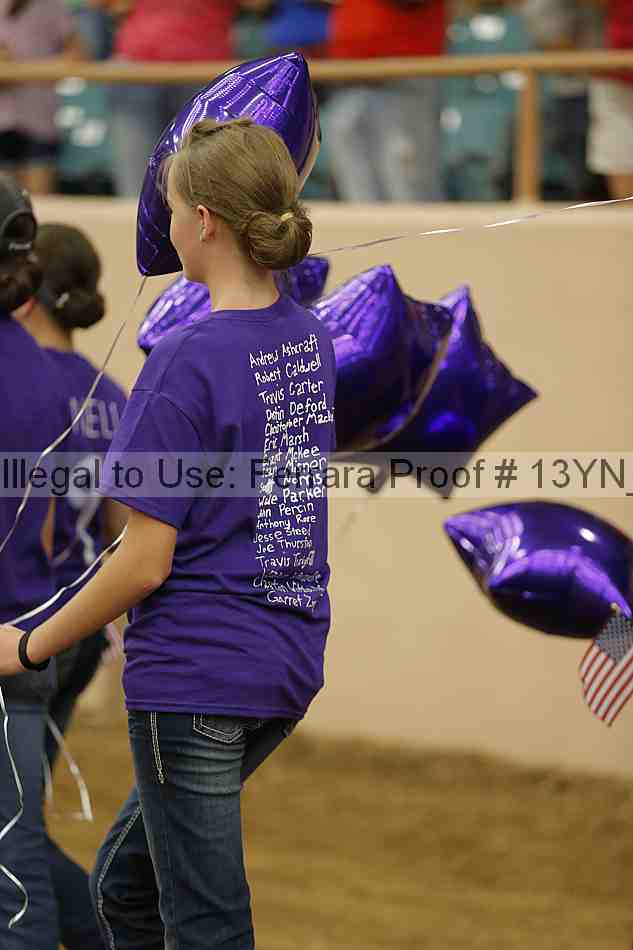 Proof Number 13yn_04690