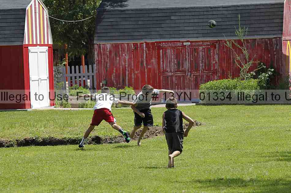 Proof Number 13yn_01334