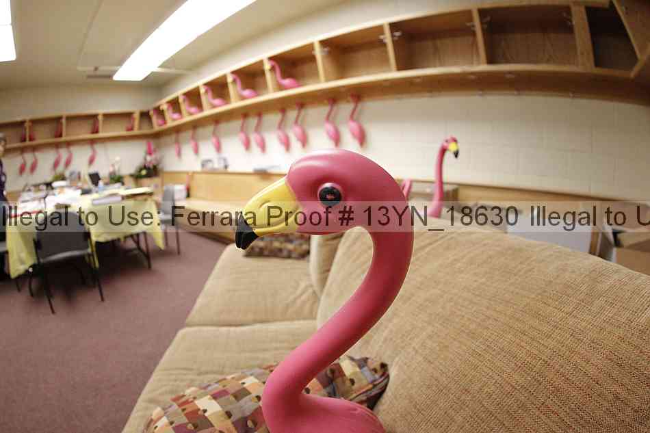 Proof Number 13yn_18630