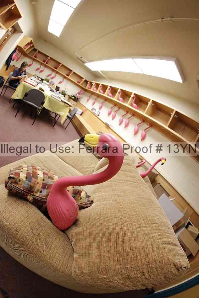 Proof Number 13yn_18631
