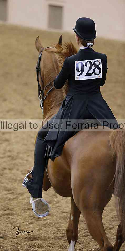 Proof Number 13yn_slideshow_04946