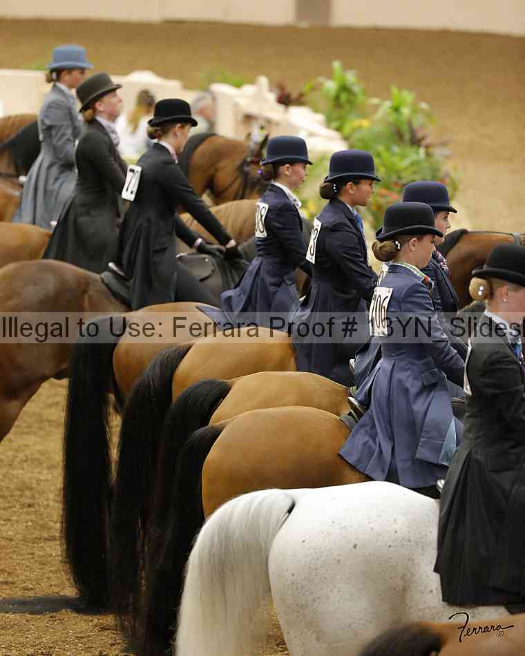 Proof Number 13yn_slideshow_04968