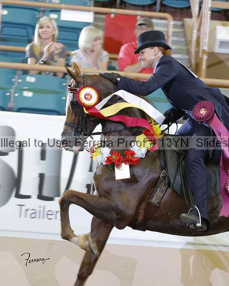 Proof Number 13yn_slideshow_04979