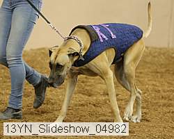 13yn_slideshow_04982 thumbnail