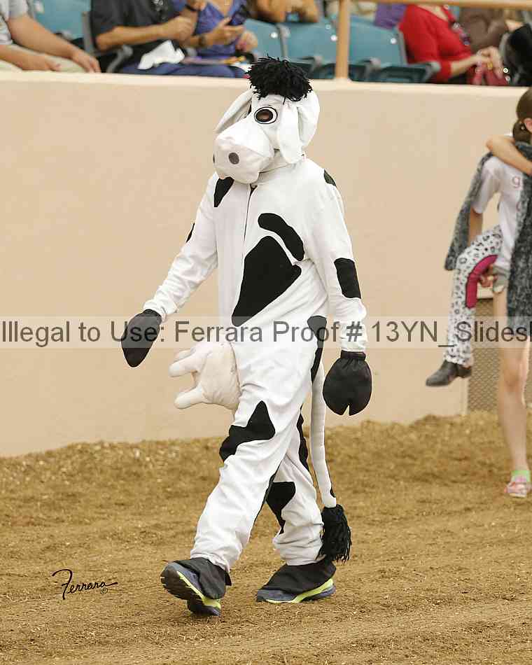 Proof Number 13yn_slideshow_04987
