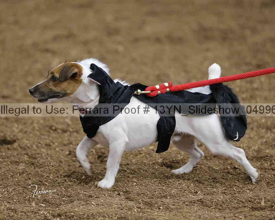 Proof Number 13yn_slideshow_04996