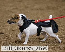 13yn_slideshow_04996 thumbnail