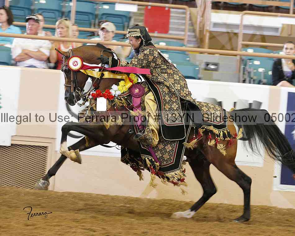 Proof Number 13yn_slideshow_05002