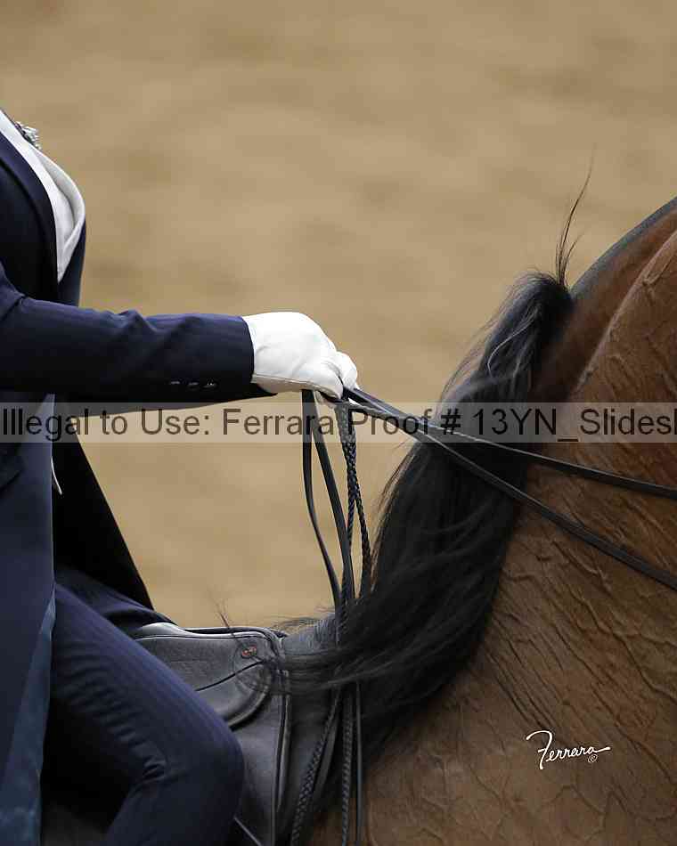 Proof Number 13yn_slideshow_05336
