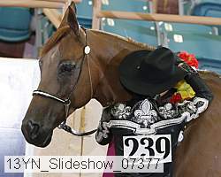 13yn_slideshow_07377 thumbnail