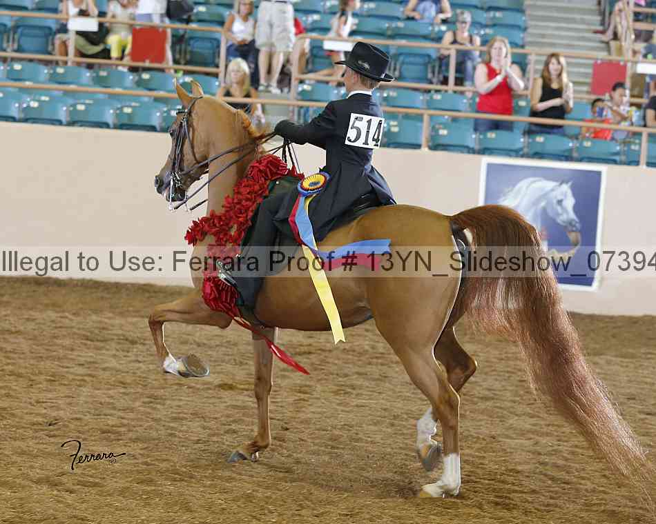 Proof Number 13yn_slideshow_07394