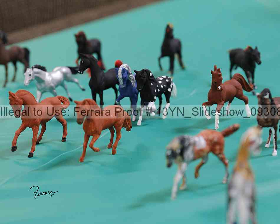 Proof Number 13yn_slideshow_09308