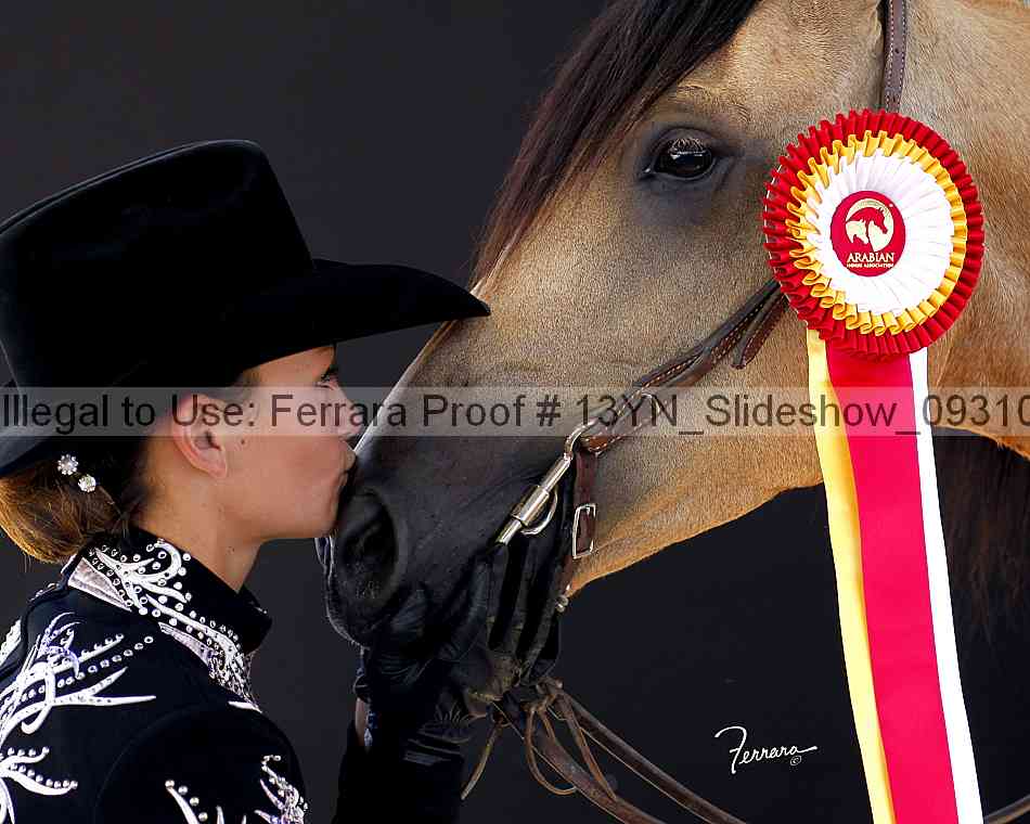 Proof Number 13yn_slideshow_09310