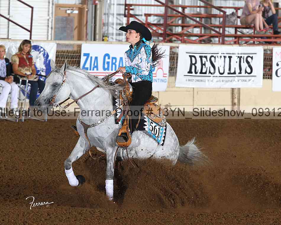 Proof Number 13yn_slideshow_09312